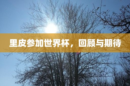 里皮参加世界杯，回顾与期待