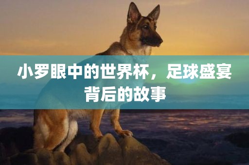 小罗眼中的世界杯，足球盛宴背后的故事