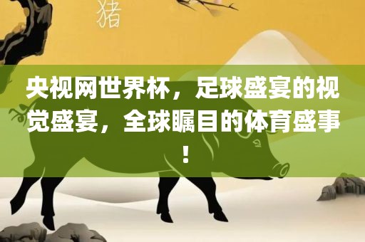 央视网世界杯，足球盛宴的视觉盛宴，全球瞩目的体育盛事！