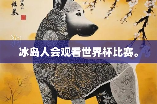 冰岛人会观看世界杯比赛。
