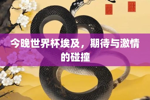 今晚世界杯埃及，期待与激情的碰撞