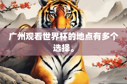 广州观看世界杯的地点有多个选择。