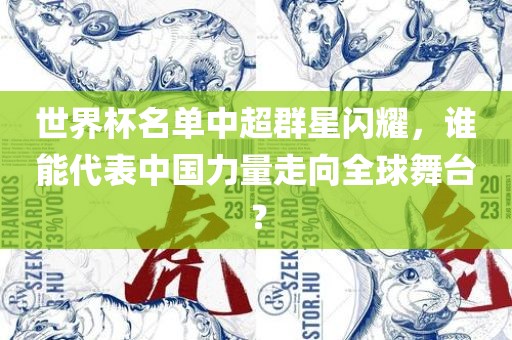 世界杯名单中超群星闪耀，谁能代表中国力量走向全球舞台？
