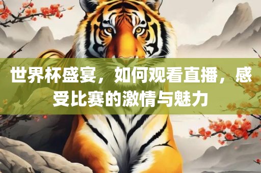 世界杯盛宴，如何观看直播，感受比赛的激情与魅力