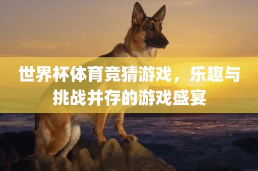 世界杯体育竞猜游戏，乐趣与挑战并存的游戏盛宴