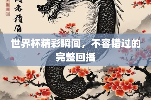 世界杯精彩瞬间，不容错过的完整回播