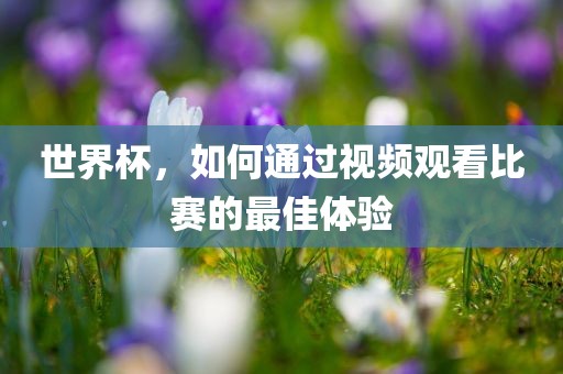 世界杯，如何通过视频观看比赛的最佳体验
