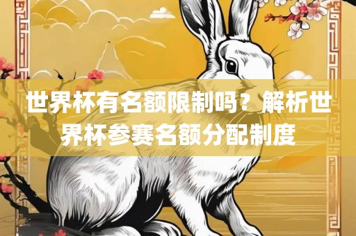 世界杯有名额限制吗？解析世界杯参赛名额分配制度