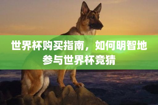 世界杯购买指南，如何明智地参与世界杯竞猜