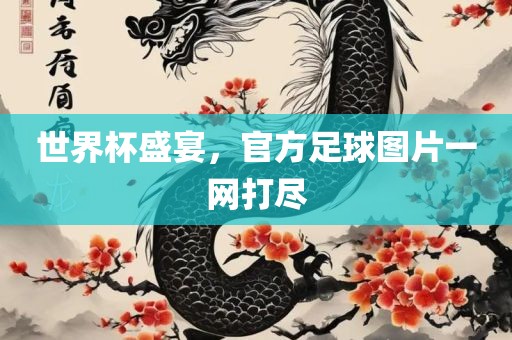 世界杯盛宴，官方足球图片一网打尽