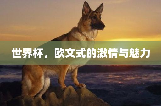 世界杯，欧文式的激情与魅力