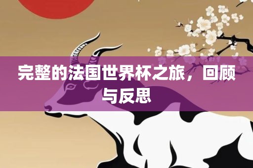 完整的法国世界杯之旅，回顾与反思
