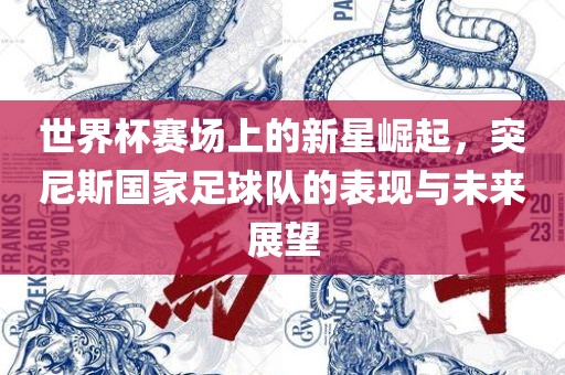 世界杯赛场上的新星崛起，突尼斯国家足球队的表现与未来展望