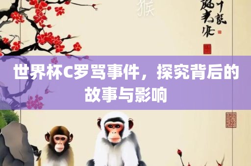 世界杯C罗骂事件，探究背后的故事与影响