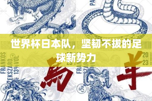 世界杯日本队，坚韧不拔的足球新势力