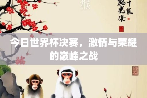 今日世界杯决赛，激情与荣耀的巅峰之战