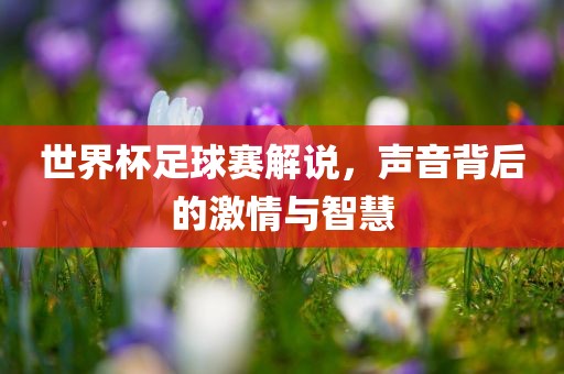 世界杯足球赛解说，声音背后的激情与智慧
