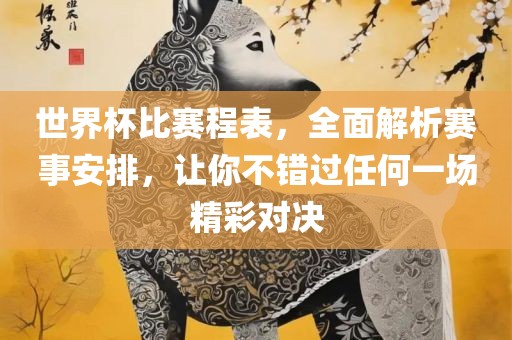 世界杯比赛程表，全面解析赛事安排，让你不错过任何一场精彩对决