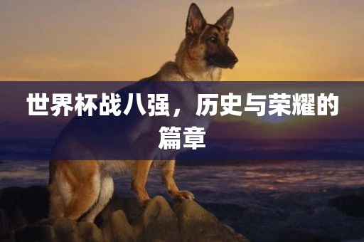 世界杯战八强，历史与荣耀的篇章