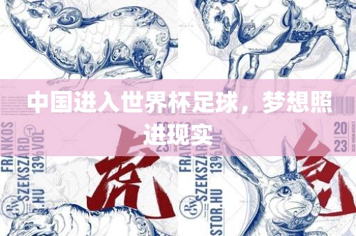 中国进入世界杯足球，梦想照进现实