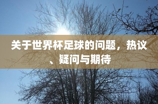 关于世界杯足球的问题，热议、疑问与期待