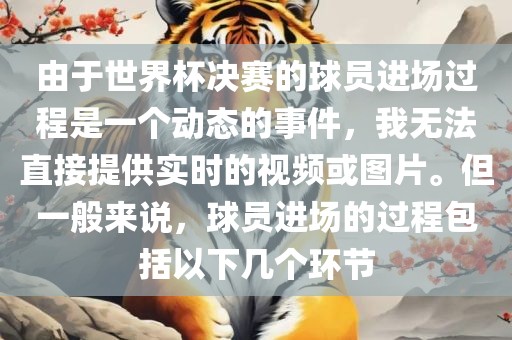 由于世界杯决赛的球员进场过程是一个动态的事件，我无法直接提供实时的视频或图片。但一般来说，球员进场的过程包括以下几个环节