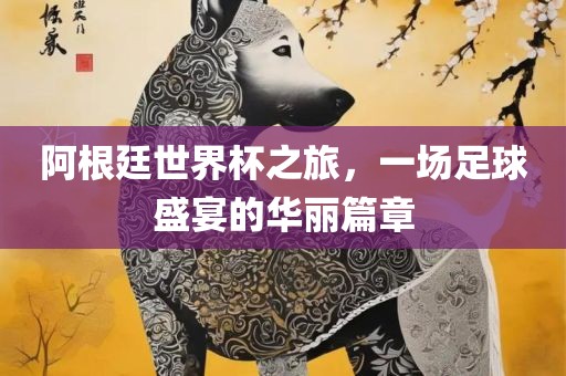 阿根廷世界杯之旅，一场足球盛宴的华丽篇章