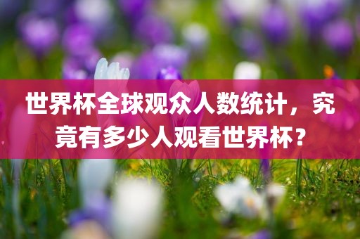 世界杯全球观众人数统计，究竟有多少人观看世界杯？