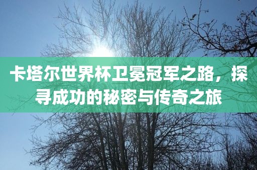 卡塔尔世界杯卫冕冠军之路，探寻成功的秘密与传奇之旅