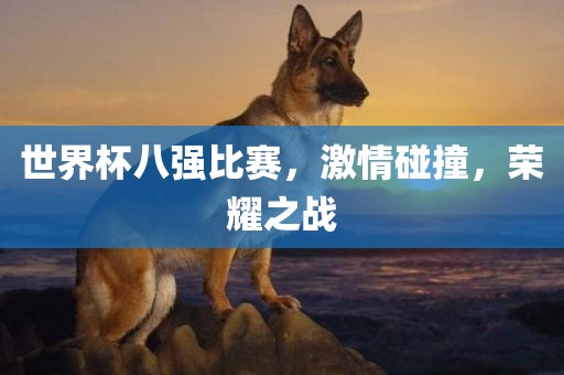 世界杯八强比赛，激情碰撞，荣耀之战