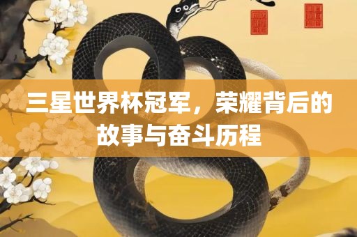 三星世界杯冠军，荣耀背后的故事与奋斗历程