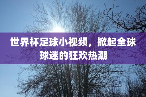 世界杯足球小视频，掀起全球球迷的狂欢热潮