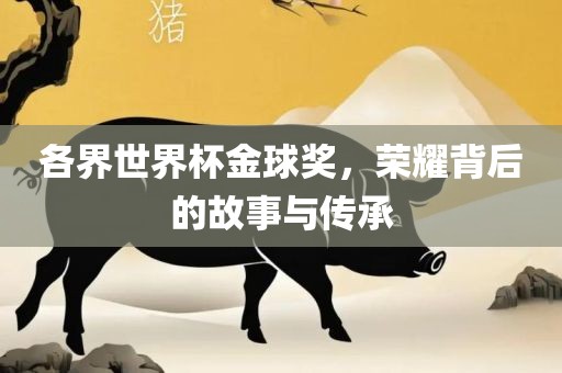 各界世界杯金球奖，荣耀背后的故事与传承