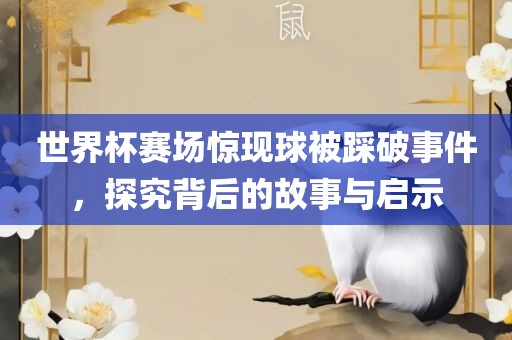 世界杯赛场惊现球被踩破事件，探究背后的故事与启示