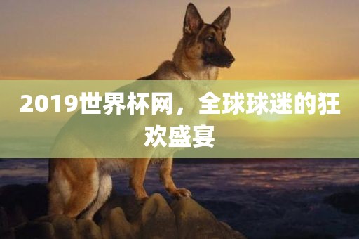 2019世界杯网，全球球迷的狂欢盛宴