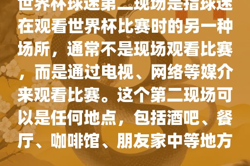 世界杯球迷第二现场是指球迷在观看世界杯比赛时的另一种场所，通常不是现场观看比赛，而是通过电视、网络等媒介来观看比赛。这个第二现场可以是任何地点，包括酒吧、餐厅、咖啡馆、朋友家中等地方。