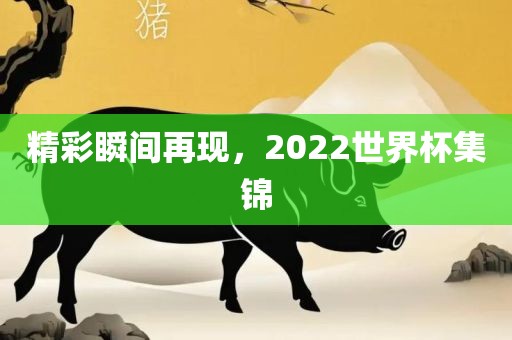 精彩瞬间再现，2022世界杯集锦