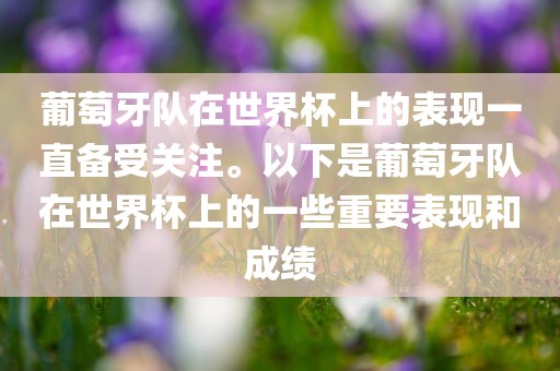 葡萄牙队在世界杯上的表现一直备受关注。以下是葡萄牙队在世界杯上的一些重要表现和成绩