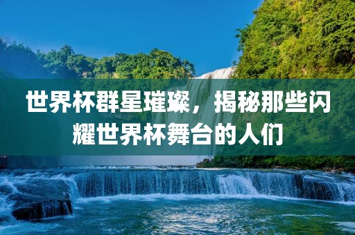 世界杯群星璀璨，揭秘那些闪耀世界杯舞台的人们