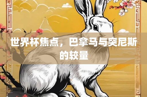 世界杯焦点，巴拿马与突尼斯的较量