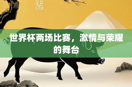 世界杯两场比赛，激情与荣耀的舞台