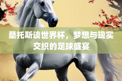 桑托斯谈世界杯，梦想与现实交织的足球盛宴