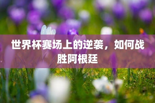 世界杯赛场上的逆袭，如何战胜阿根廷