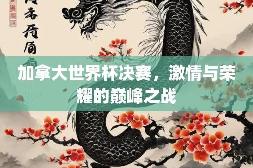 加拿大世界杯决赛，激情与荣耀的巅峰之战