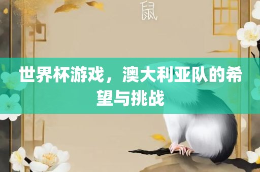 世界杯游戏，澳大利亚队的希望与挑战