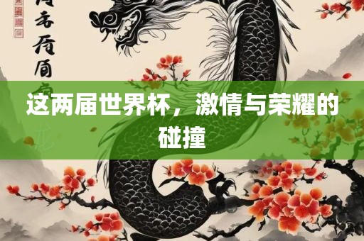 这两届世界杯，激情与荣耀的碰撞
