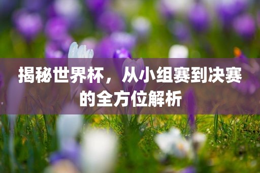 揭秘世界杯，从小组赛到决赛的全方位解析