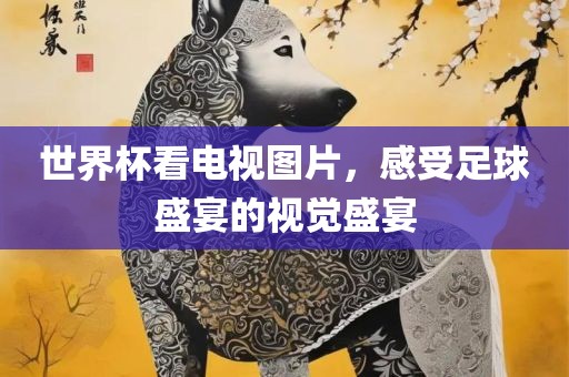 世界杯看电视图片，感受足球盛宴的视觉盛宴