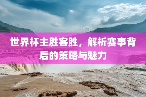 世界杯主胜客胜，解析赛事背后的策略与魅力