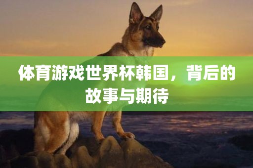 体育游戏世界杯韩国，背后的故事与期待